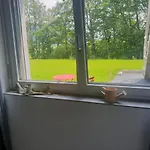 L'Appartement *